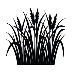 Paddy Field with Tall Grass – Rice Field Landscape, Nature Scene, Vector Illustration