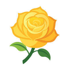 A stunning yellow  rose on white background (1)