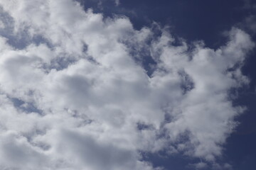 Fototapeta premium PLAYA DE LA BARROSA. CHICLANA. CADIZ.