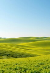 Vast, undulating green prairie under a clear sky , view, panorama