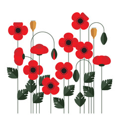 Poppy Flowers mid century modern 