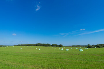 Green fields and hay bales, harvesting feed for cattle, Belarus.