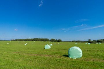 Green fields and hay bales, harvesting feed for cattle, Belarus.