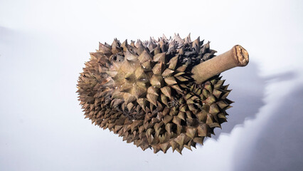 Ripe durian fruit © Salouw