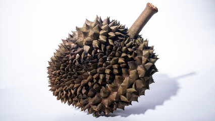 Ripe durian fruit © Salouw