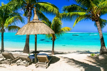 Fototapeten turquoise sea and white beaches of beautiful Mauritius island . Relaxing tropical holidays with beach chairs under palm trees. © Freesurf
