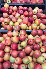 apples on the store counter