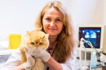 Brno, Czech Republic - March 28, 2025: Veterinarian performs Ultrasound diagnostics of a cat during...