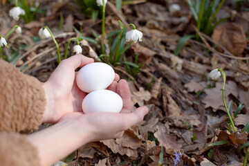 Found Easter Eggs in a Child Hands