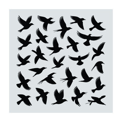 Flying bird silhouette. Bird silhouette vector illustration