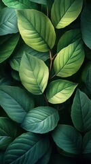 A vibrant arrangement of green leafy patterns showcases a natural and organic aesthetic