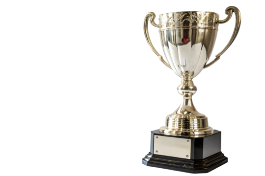 Classic championship trophy with a polished wooden stand.