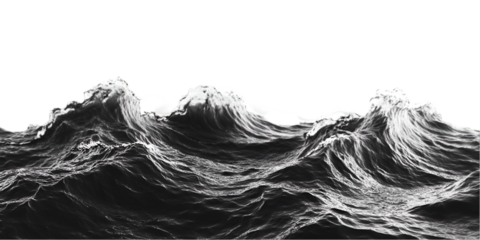 Dramatic Black and White Ocean Waves Powerful Nature Scene