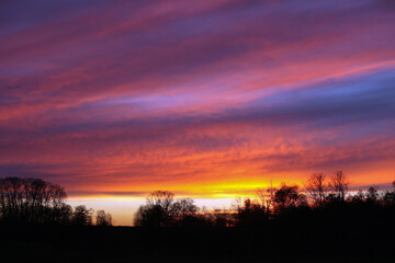 silhouette of dark trees against colorful sunset with clouds