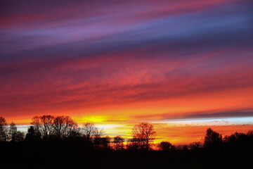 silhouette of dark trees on background of an amazingly beautiful colorful sunset with clouds