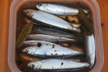 Marinated fish in a plastic container on the table. Marinated sprats in brine.