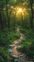 Fototapeta premium Sunlight streams through the trees illuminating a stone pathway winding through a lush verdant forest scene
