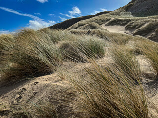 Sand Dunes near Whiteford Beach the Gower