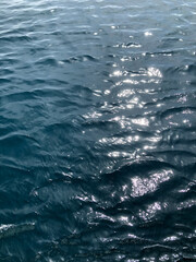 Sunlight sparkles over the rippling blue sea, capturing a moment of nature's pure elegance. Each wave reflects a new story of the ocean's life