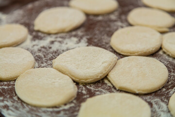 Circles of cookie dough on a table sprinkled with flour