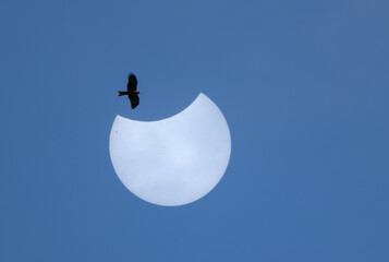 Partial solar eclipse in Galicia, Spain