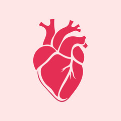 Stylized Human Heart with Simplified Anatomical Design
