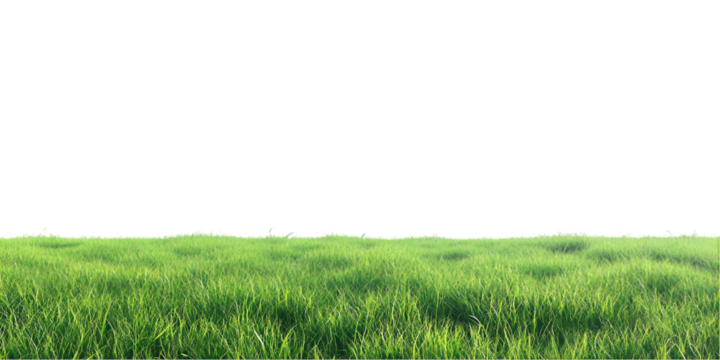 Lush green grass field nature landscape scenery