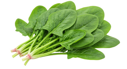 Isolated Spinach