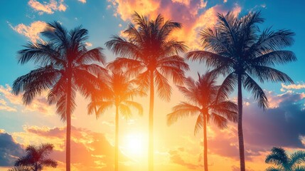 Vibrant Summer Sunset Over Palm Trees Against a Colorful Sky and Cloudy Background