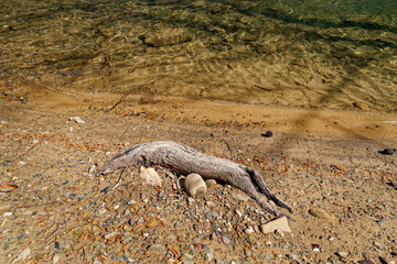 Beach riverbed along the river