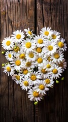Obraz premium White daisies arranged in the shape of an ornamental heart 