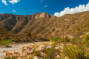 Guadalupe Mountains National Park in Texas State has beautiful desert scenery and hiking trails. 
