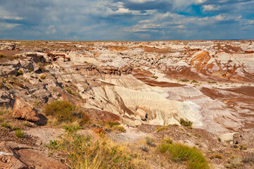 Petrified forest National Park, located in Arizona, is best known for Painted Desert and fossils.
