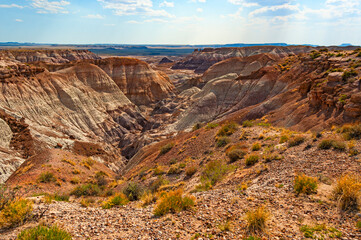 Petrified forest National Park, located in Arizona, is best known for Painted Desert and fossils.