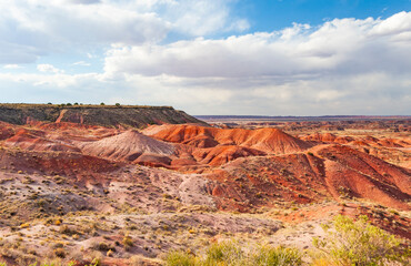 Petrified forest National Park, located in Arizona, is best known for Painted Desert and fossils.