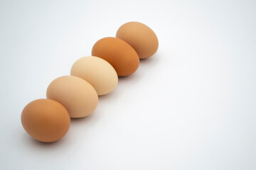 Chicken egg isolated on white background