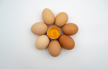 Chicken eggs on white background,  egg isolated on the white background