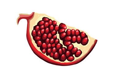 Half Garnet Vector Illustration Isolated on White