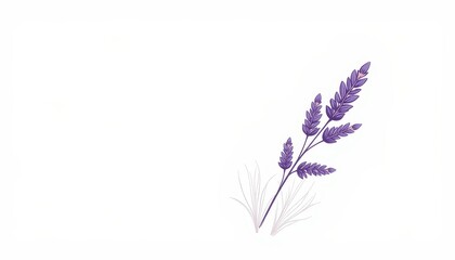 Obraz premium Lavender sprig illustration in soft purple hues, natural beauty