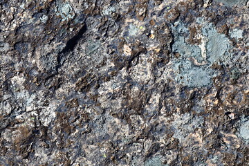 A close-up shot of a rock with a small bird sitting on top, showcasing the natural beauty of the outdoors.