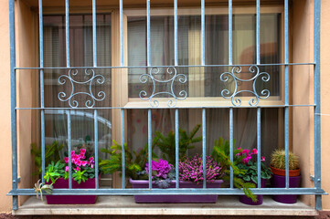 The window with a metal fence, behind which several flowers rest on the sill. These flowers, planted in jars, create a sense of coziness and bring joy to people passing by such windows