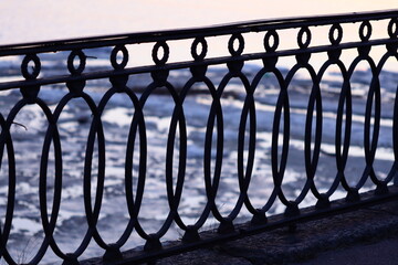 A bird perches on a railing overlooking the ocean, providing a serene and peaceful atmosphere.