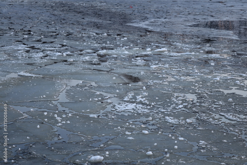 Poster a bird standing on the edge of a frozen lake or river, surrounded by water.