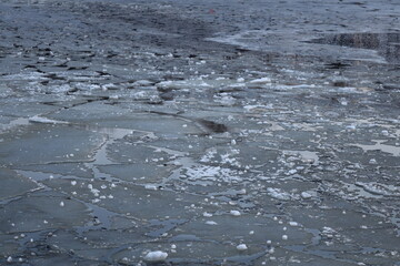 A bird standing on the edge of a frozen lake or river, surrounded by water.