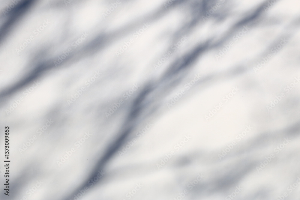 Poster white wall with shadows from trees and branches.