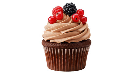 Isolated Chocolate Cupcake with Berries