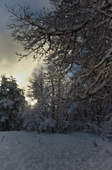 Snow landscape photography of the Llaima volcano in Chile