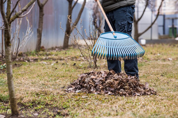A pile of old leaves, a man is doing a general cleaning in the garden in the spring. Cleans the lawn of leaves. Gardening. Cleaning and preparing the garden for the summer season.