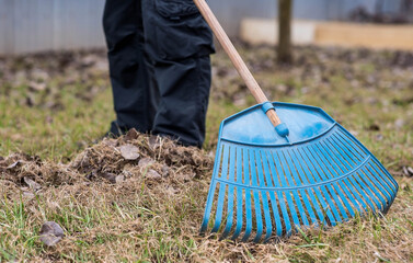 A pile of old leaves, a man is doing a general cleaning in the garden in the spring. Cleans the...