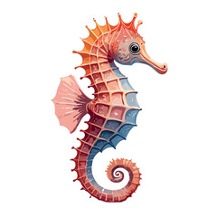 seahorse vector illustration © Erkan